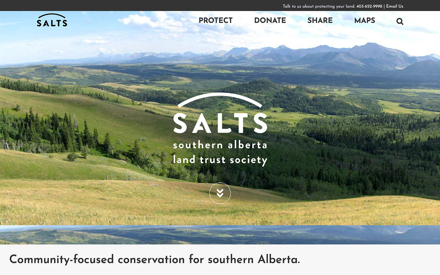 SALTS Website Screenshot | Creative Elements Consulting